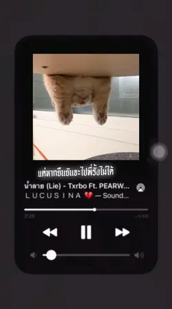 น้ำลาย 🐾