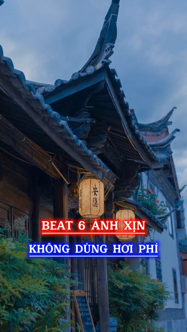 비트 6 NH XN