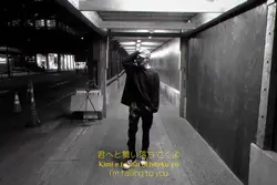 Fallin' Flower - Svt