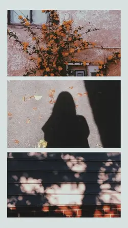 3 foto aesthetic 