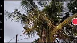 cinematik video