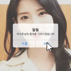아이유님의 흔적을 지우시겠습니까?
