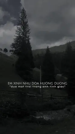 BEAT 5 ẢNH XỊN