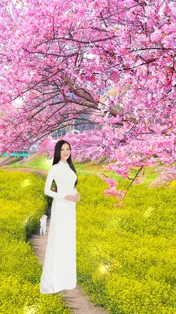 Mẫu ghép ảnh