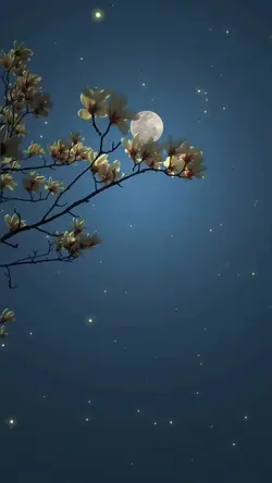 ออเจ้าเอย