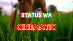 STORY CINEMATIC