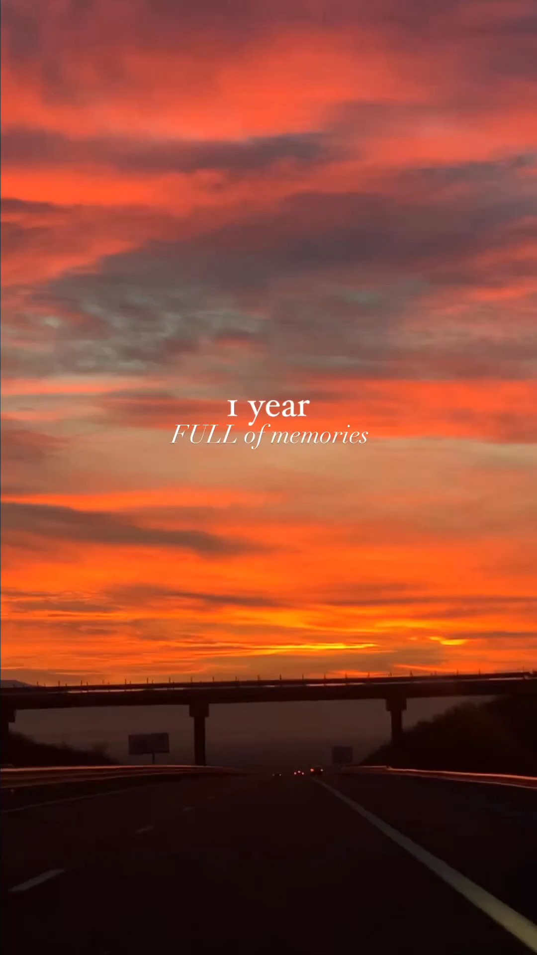 1 año tonto 