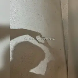 200일 축하 노래