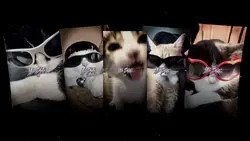 5人紹介テンプレート!
