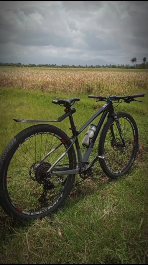 BIKE MONTAGE