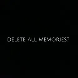 delete all memories