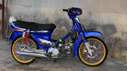 mẫu video chỉnh màu