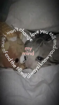 a b c d e f g h I