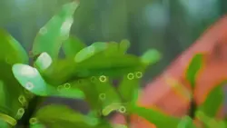 cinematic slow