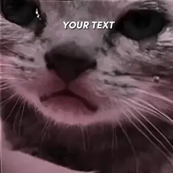 text bisa diganti