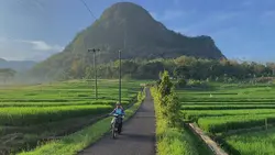 Cinematic Alam