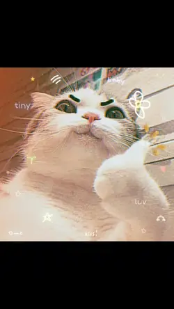 จังหวะตกหลุมรัก