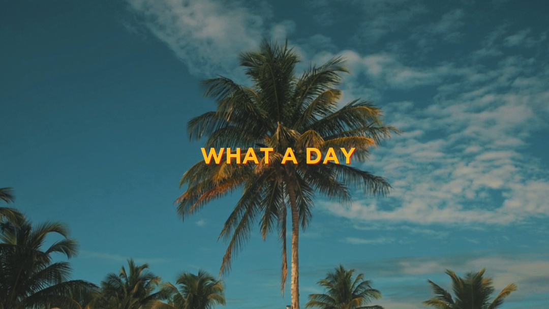 What a day