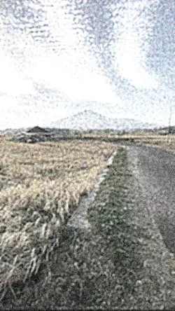 Burik X Hd