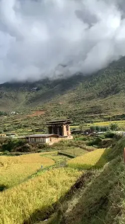 Pemandangan
