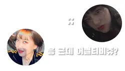 어쩔티비 저쩔티비