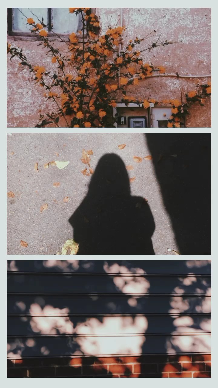 3 foto aesthetic 