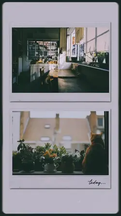 frame estetik