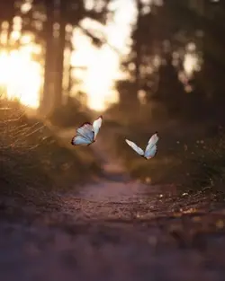 ธรรมชาติ​