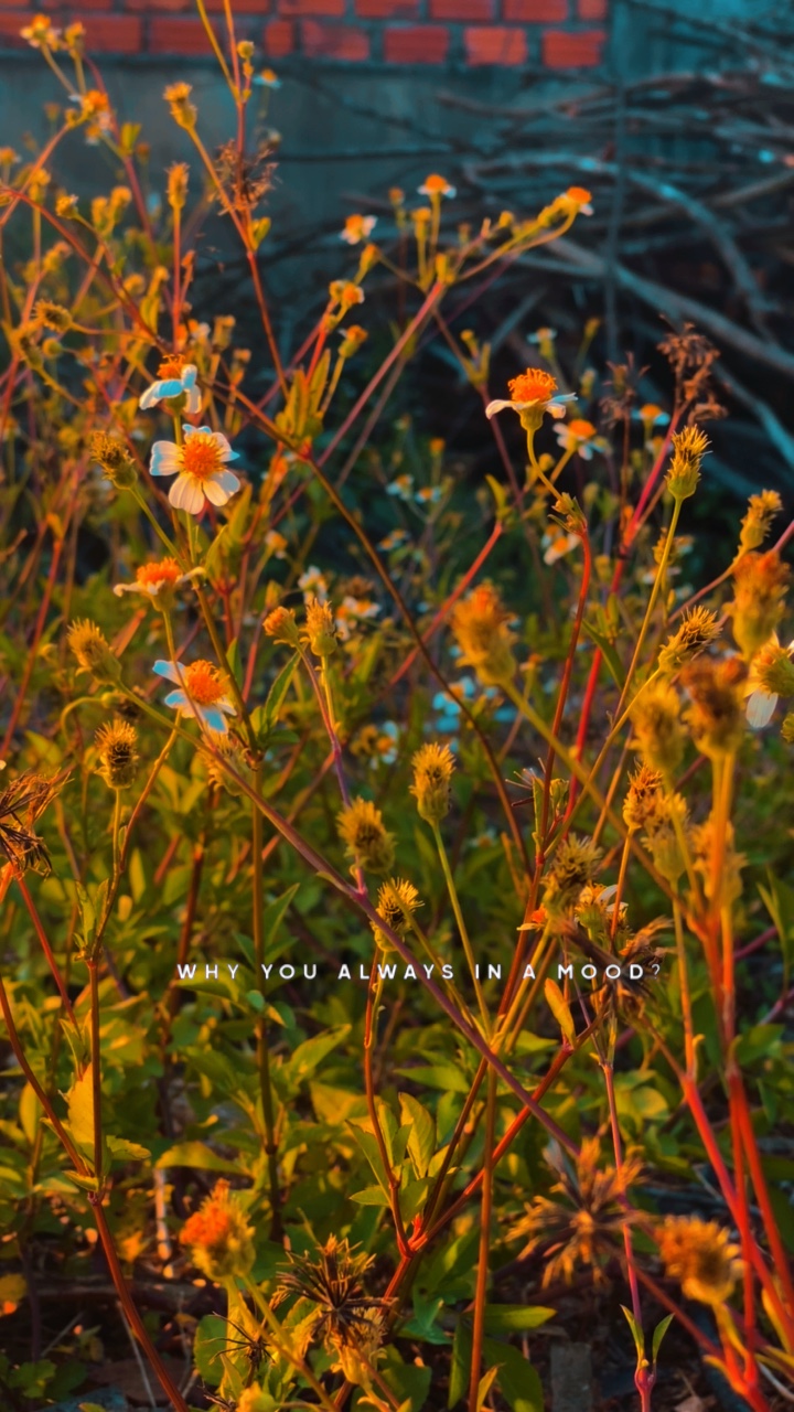 Bật đèn chill 