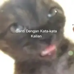 Teks Bisa Diganti Ni