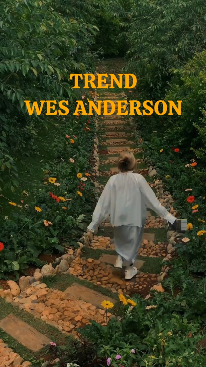 WES ANDERSON Trend 