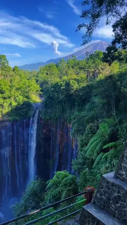 mentahan.video