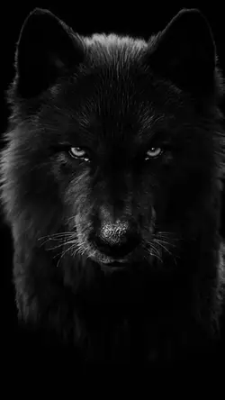 black wolf woman