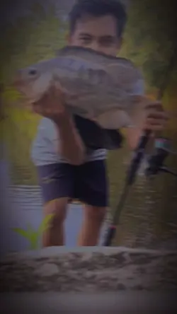 strike ikan
