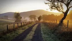 Filter Estetik |16:9