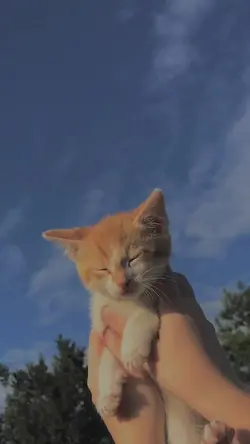 how you doing