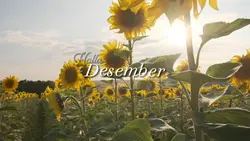 Hallo Desember