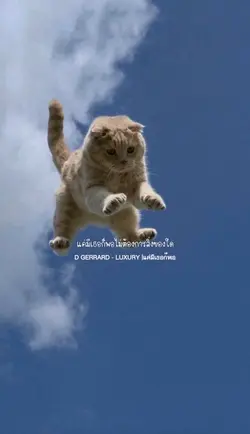 เเค่มีเธอก็พอ