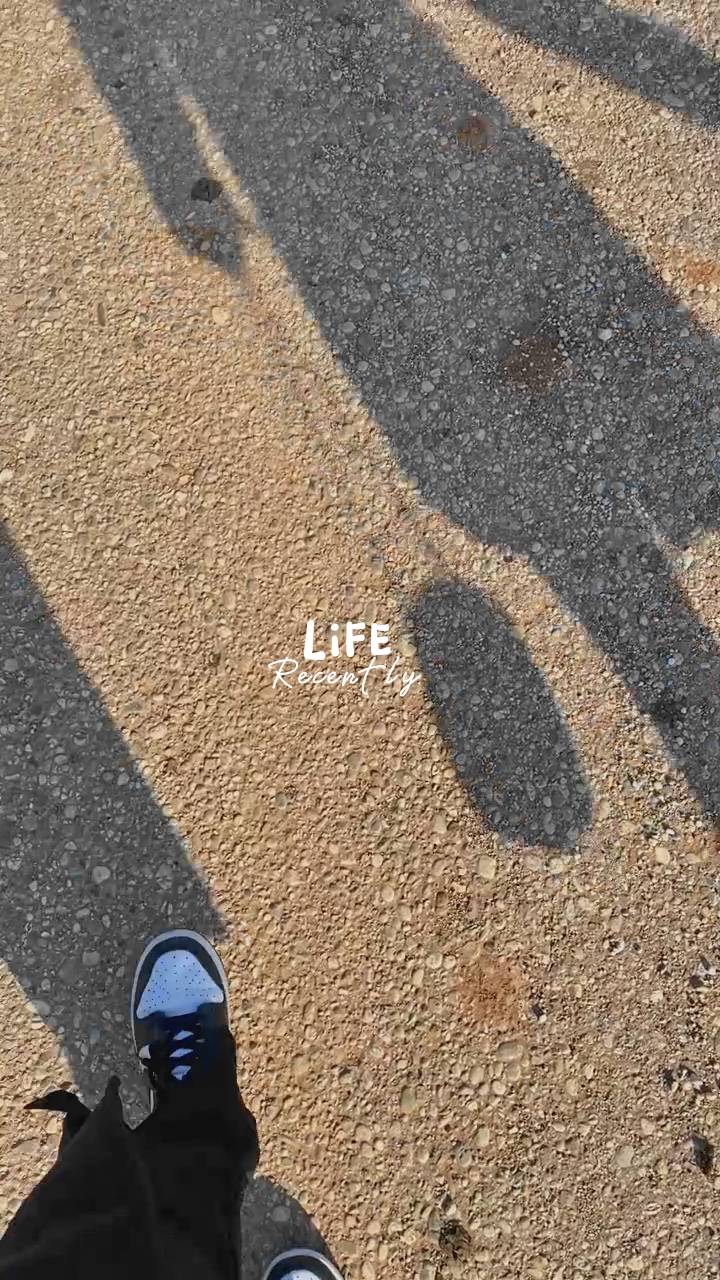 Mini Vlog