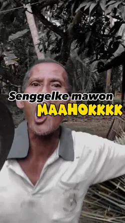 Tahu kopat dirubung