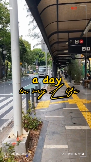 story mini Vlog 