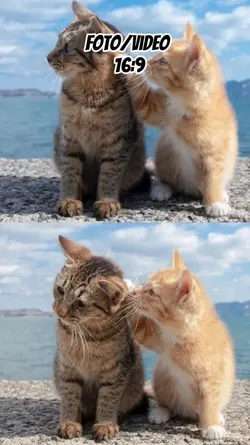 EdSheeran Photograph