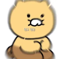 잼민감성쓰