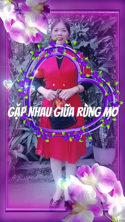 Gặp Nhau Giữa Rừg Mơ