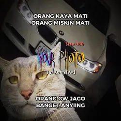 TEKS BISA DI GANTI