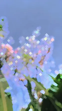 2 video aesthetic
