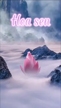 Hoa sen