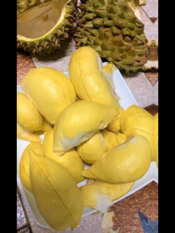 ทุเรียนจ้า