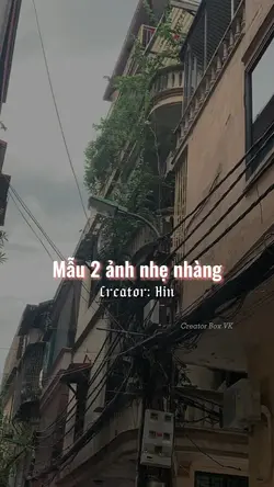 Nhạc này dính quá..