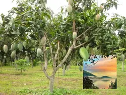 อย่าไปหารักใครเลย